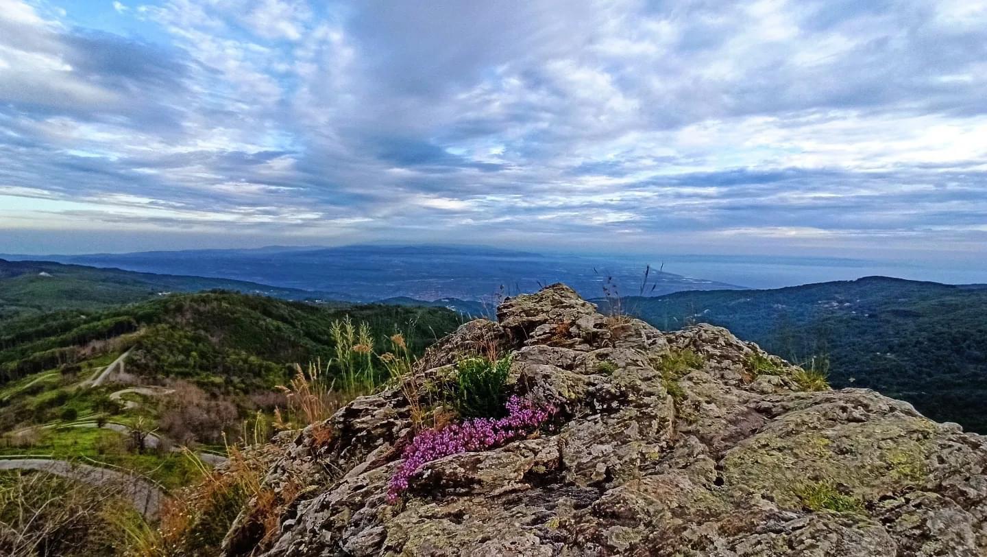 Monte Reventino